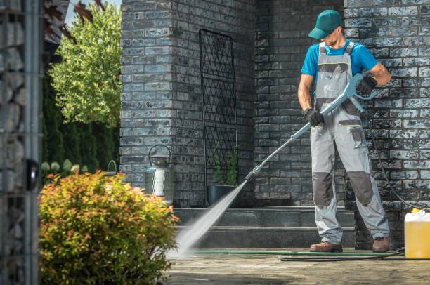 Best Pre-Holiday Cleaning  in Columbus, MN